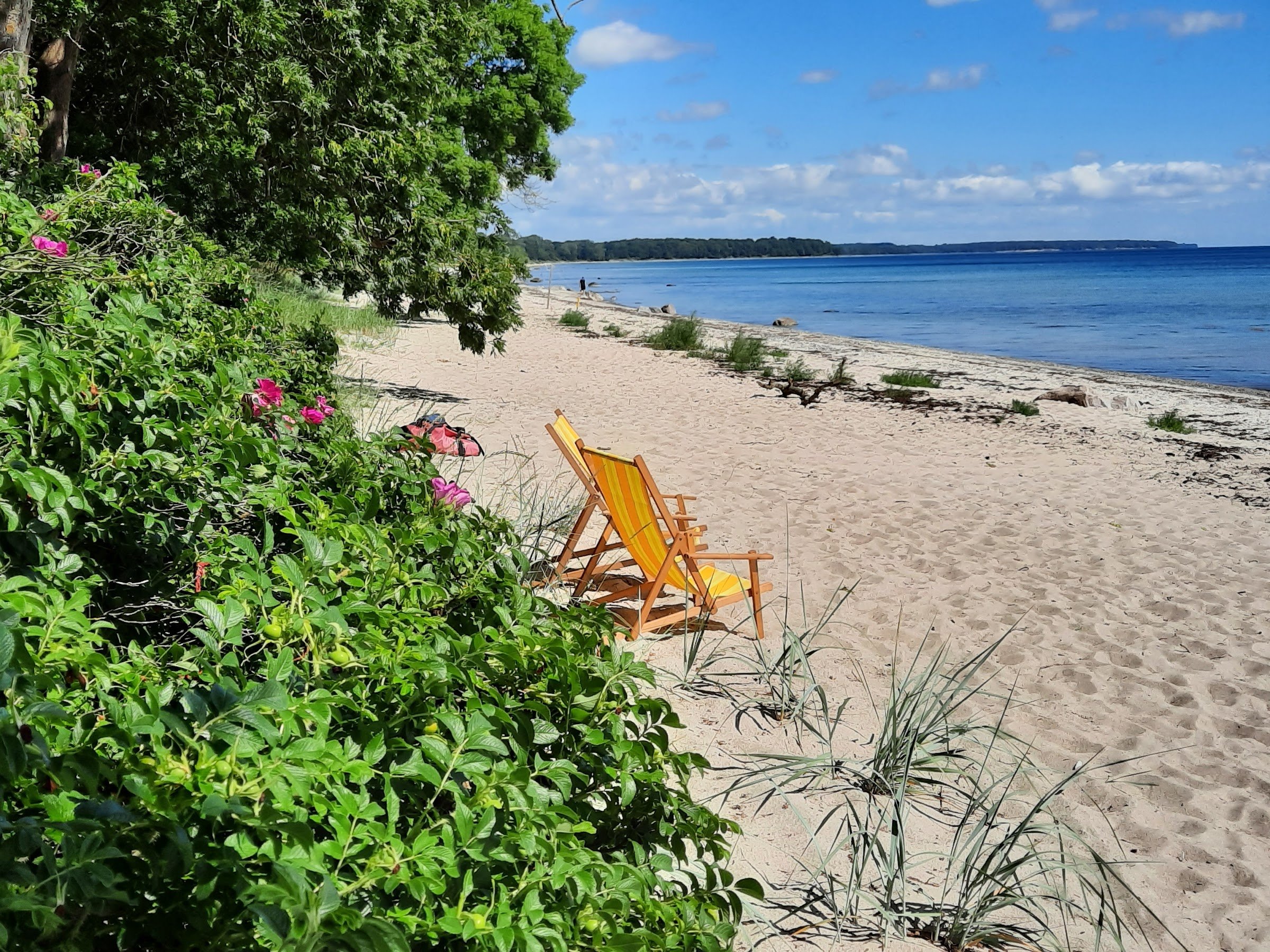 Ulslev StrandCamping